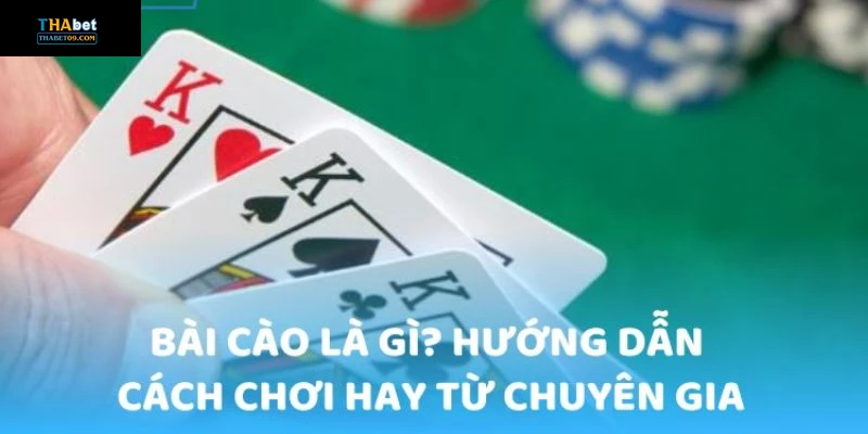 Giới thiệu tổng quan về cách chơi bài cào
