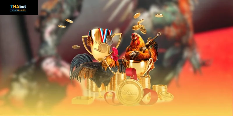 Lợi ích khi xem trực tiếp đá gà mộc bài tại Thabet