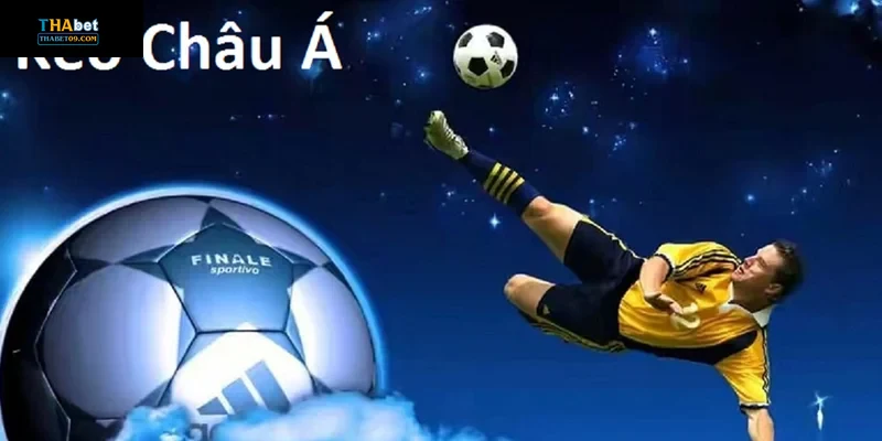 Phân tích đội bóng và điều kiện trận đấu